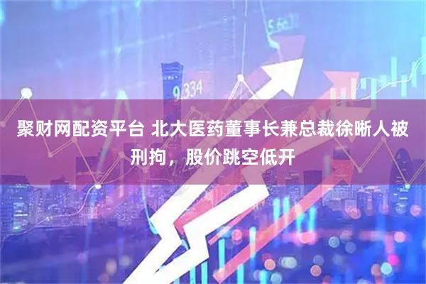 聚财网配资平台 北大医药董事长兼总裁徐晰人被刑拘，股价跳空低开