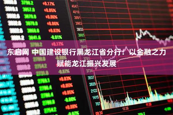 东启网 中国建设银行黑龙江省分行：以金融之力赋能龙江振兴发展