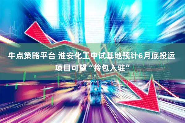 牛点策略平台 淮安化工中试基地预计6月底投运 项目可望“拎包入驻”