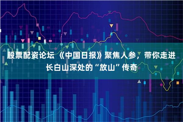 股票配资论坛 《中国日报》聚焦人参，带你走进长白山深处的“放山”传奇