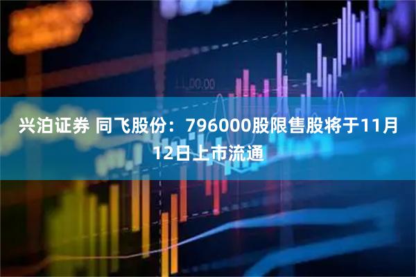 兴泊证券 同飞股份：796000股限售股将于11月12日上市流通